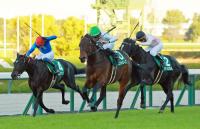  ǰֿۣ͵ǥӥåȥХž޽ơ§Ϣơãδ˾֤餱ʤȻפ뤯餤ζ