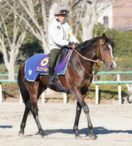 【カズパパ】イクイノックス 出資会員限定優勝記念品 ジャパンカップ2023 イクイノックス ジャパンカップ K on X: