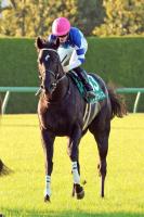  ǰ3ƬG1ϤȾ1ֿ͵Υ4塡ľֺǤäѤǤ