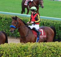  ڥƥ䡼Sۥ᡼뵳ֹڡġץߥʥ󥹤ɤ3塡ž޽Ƥʤ餺