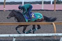  �ڥ����ԥ���C��(1)�����ꥢ��Х���������Ĵ�ʻž夬�ꡡ���Ȥ��٤��ȤȤη�͹礤