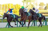  ǰۥǥӥåȥХνž޽ơľȴФϿȺ˾ֶ