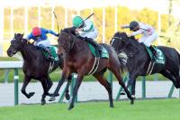  ǰۥǥӥåȥХž޽饿ȥ롡˾ϡ֤餱ʤȻפ뤰餤ζ