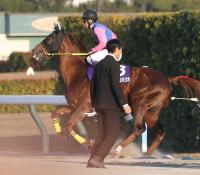  ڥԥCۥᥤ祦ϥꥪˤä4塡˭֤١ä졼ϤǤޤ