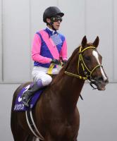  ڥԥCۥᥤ祦ϥꥪˤä4塡˭֤١ä졼ϤǤޤ