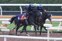  ںJFŸ˾3Ϣ󥫡롡ϥϥϥ饤