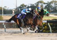  ڥԥCۥ֥ϡȥܥɷƮ9Vϻ˾3Ϣ