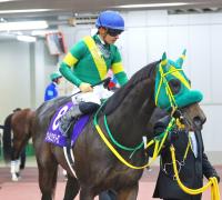  ڥԥ󥺣áۥ륽ƥ鷺ģǯϢ³塡ġ餷פˤޤ