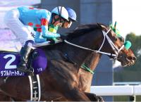  ڥԥCۤ鷺9!֥ϡȥܥɡƮ10ǯ֤V!(Ϥ)4Ϣơ5ϢƤǤ