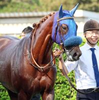  ںJFϡۥ󥹤ι⤵ϵ;ϤʤХ̡2ܤηںߤ