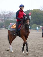  ںJFĤϡ֤ۤȤӤϳ!ߥĥͥ٥ͥ餬ˤ˽G1ȥ⤿餹