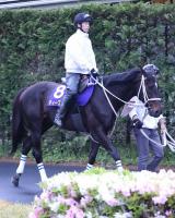  ڥԥCƮΥåդϤˤʤ줿ı˰ݤߤʤϤǾڤä֥ϡȥܥ