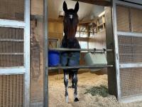  ֥ϡȥܥɡԥCƤֻդ٤Ƥ