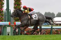  ϢΥΥ顼ϥסȤοӤǥۡץեS̤³ƲƾV