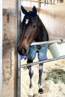  ԥCƼԤΥ֥ϡȥܥɤϸäѤرġ֥Ф⤷ä꿩٤ƤҤȰ¿