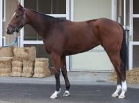  ںJFۥߥĥͥ٥ͥ85ס夤Ĥ