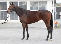  ںJFۥޡåȥߡ85ϡסܤȥȥ϶