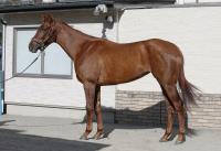  ںJFۥХ90ֱԡסʵζ