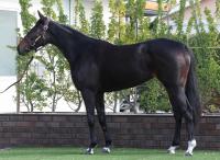  ںJFۥ󥫡90ͪס2Ϥ餷ͤäݤΩ