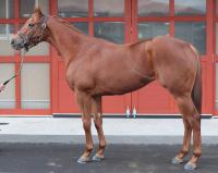  ںJFۥ饹ƥ󥰥Ρ80סɨӥå