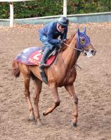  ںJFۥХ̡Ĵļ̤̿G1ͤ