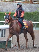  ںJFۥԡɤʤ!˥ΥޥG1ĩĴա֥ԡɤȥߥʤ