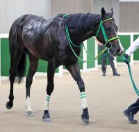  ��������ư���ۥۡ��ץե�S���ܻؤ������ϥ���ե���ϴ���˾�赳��ȿ�����Ӥ�