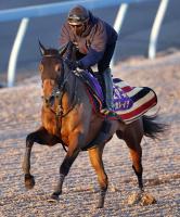  ͭϵǰ2ۥեɼ1̤Υ쥬쥤餬WǽĴԡ롡رġ֤äפФ