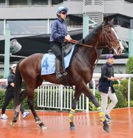  �ڹ�����åסۥ��������ѡ��������ʵ�����롡������Ĵ���աֳ�ȯ�����ꤿ���Ȼפ���Ȥ����ǽ�����褦�ˡ�