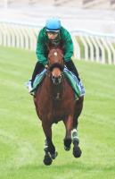  �ڹ�����åסۥ٥饸�����ڥ餬���ޥ���å������ꥢ��4Ϣ���˻ߤرԿ�����¼Ĵ���ա־��ĤĤ�����Ƥ����