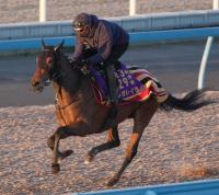  ͭϵǰ2ɤۥ쥬쥤顡ϢƤسμ¤ɲϤʤϽ6F826