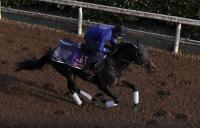  ͭϵǰ2ɤۥߥ塼ޥ롡ޤȿ塹ֵΥǤС