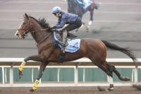  �ڹ�����åסۥ��������ѡ��������װʾ����������������ա֤餷������äƤ�����