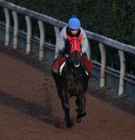  ںJFۥꥹ赤綶աַڤʬʡ