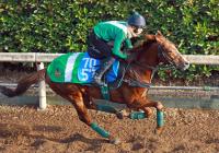  ʹաۥ楢ϡȡž޽֤ؼܻդ乥ĴֺϤʤ֤