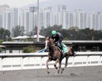  ڹۥХ󥷥å鳤ʿ￴դ¿֤夤Ƥ