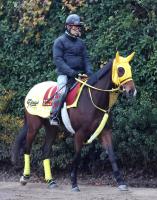  ںJFˤΥ˥󥰥ǥ14ǯ֤2VĴաĴդäƤ뤫͡