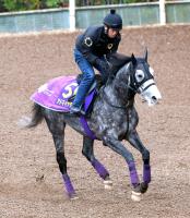  ��ͭ�ϵ�ǰ�ۥ��ɥޥ���ƥ�ϥե�����ɼ�ֵ�ž�פǡ����Ρɷ���ء�JC�ǥ����ϡ���Ƭ�פη������ƶ���