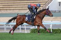  ڹޥۥ֥꡼Ƥ饹2F230ȹ3⿹ա֥󥿡ʤ