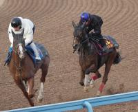  ںJFۥߥĥͥ٥ͥ顡ڿդͽ̤Ƚ餫ž夲ɡ饹ȤΤ߷ڤФ1F126