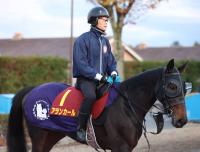  ںJF̵3Ϣܻؤ󥫡24֡ƣĴա˹ԤϤǤϤʤΤǡȤϤɤǤ