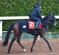  ںJF2̵ԤΥޡåȥߡϡȥå7ɤ˷ꡡĴա˭ˤǤǤ