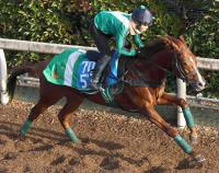  ʹա۷̵ʥ楢ϡȤ˵Ĵդֺ϶礬äƶϡ