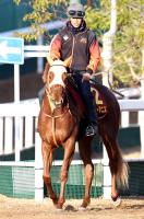  ںJF2S2Υ˥59֤˷ꡡĴաͿ줿Ȥǡ