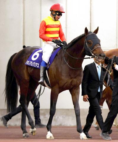 岩手競馬予想ライブ】トウケイニセイ記念2024を生予想！/森咲智美