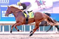  �ڹ�����ץ��ȡۥ����󥫡��ͥꥢ��ϻ�����������ˤ�Ǥ�����乥Ĵ������Ĵ���ա���Ĵ�˴ؤ��Ƥ�ʸ��ʤ���