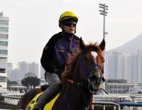  �ڹ�����ץ��ȡۥ����󥫡��ͥꥢ����Ĵʸ��ʤ������ͻա֤��������ǽФ��뤫�ʡץ졼�����Ԥ�