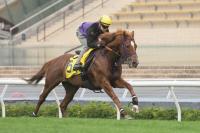  �ڹ�����ץ��ȡ�������2Ƭ��̵ǰ�ĥ��ȥΥ졼��9�塢�����󥫡��ͥꥢ��11�塡���ͻաָ�������