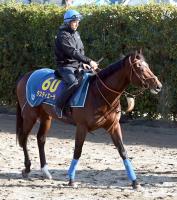  �����ƥ�������Ͼ����ȤΥ���Ӥ�ͭ�ϵ�ǰ���פ�