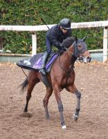  ��ī����FS����˭���꤬����ͽ����ä����������꡼�ϲ����